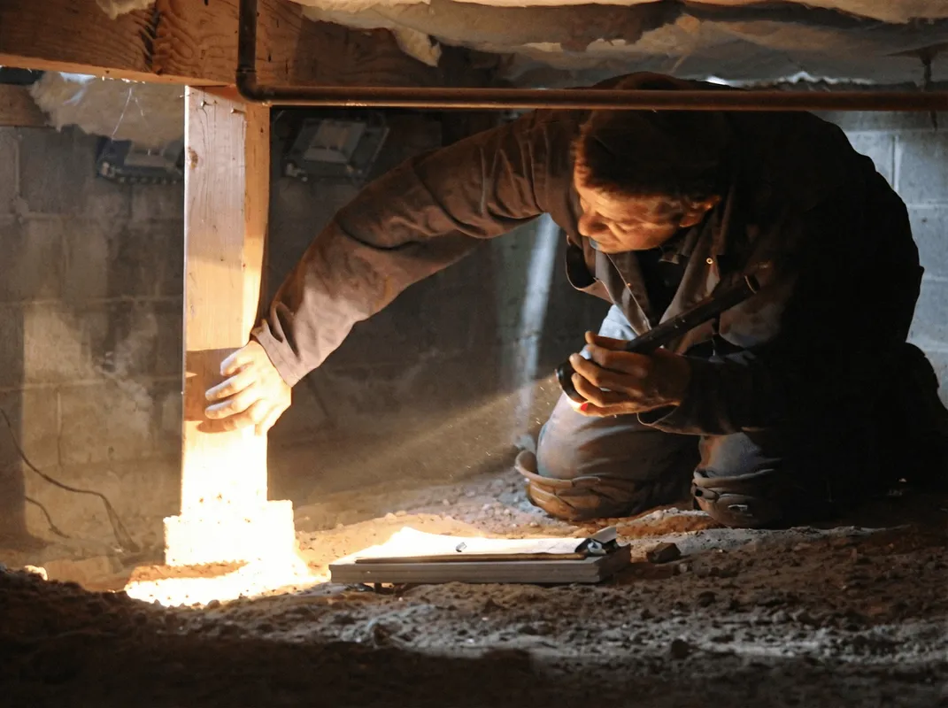 A professional inspecting wooden beams under the floor of a structure in Eugene, OR